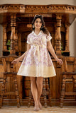 Stella short shirt dress